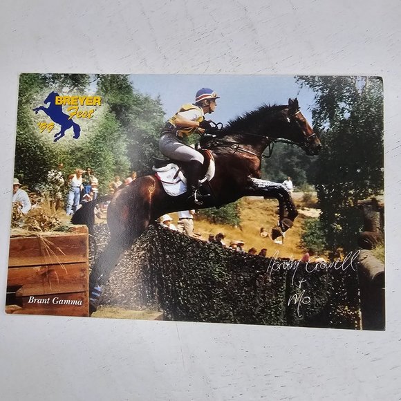 Breyerfest 1999 Molokai Card Brant Gamma Celebration Model Info - Picture 1 of 7